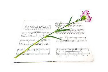 Similar image 230689