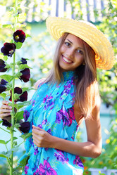 Similar image 230719