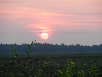 Similar image 230728