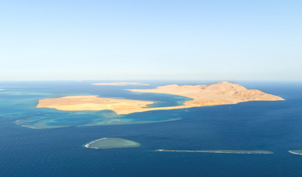 Similar image 230736