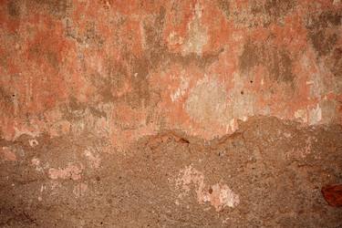 Similar image 230752