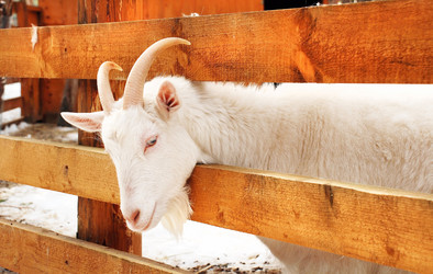 Similar image 230788