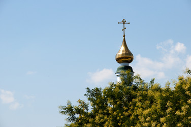 Similar image 230794