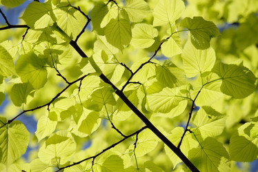 Similar image 230821