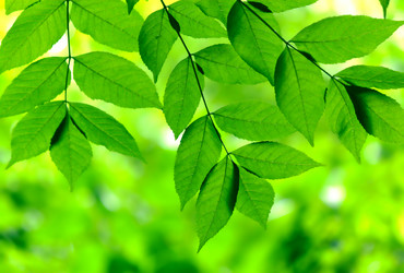 Similar image 230822