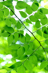 Similar image 230823