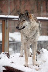 Similar image 230843