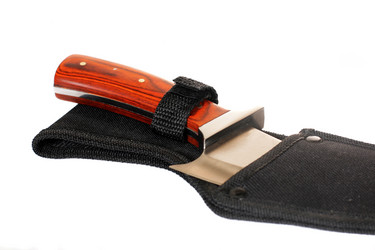 Similar image 230847