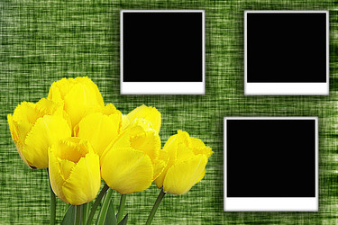 Similar image 230853