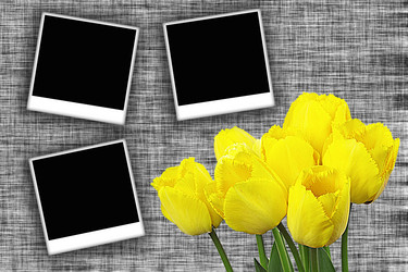 Similar image 230854