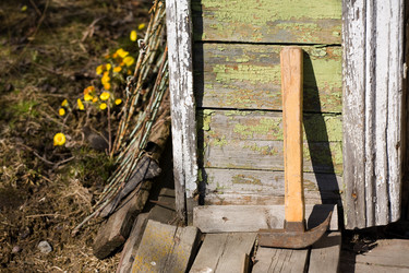 Similar image 230861