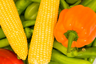 Similar image 230885