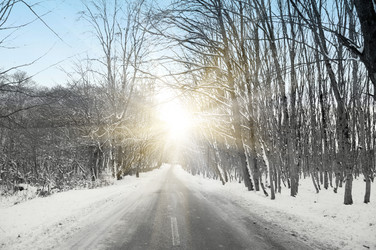 Similar image 230891