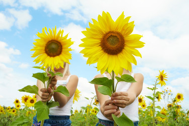 Similar image 230897