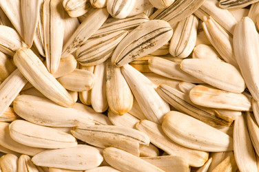 Similar image 230914