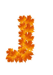 Similar image 230917