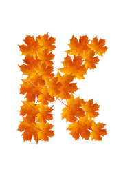 Similar image 230918