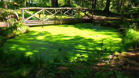 Similar image 230950