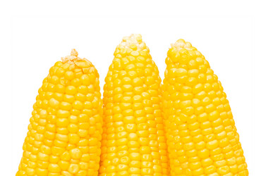 Similar image 230962