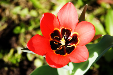 Similar image 230984