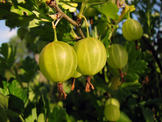 Similar image 231011