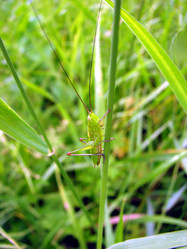 Similar image 231027