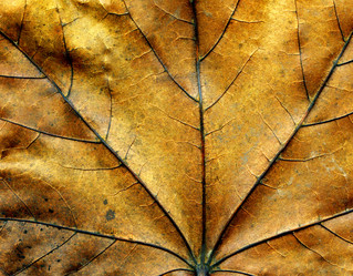 Similar image 231034