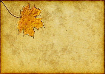 Similar image 231035