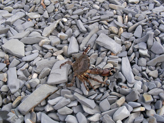 Similar image 231065