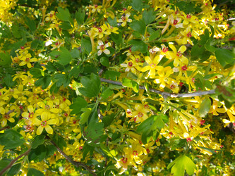 Similar image 231066