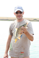 Similar image 231083