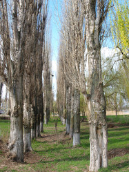 Similar image 231100