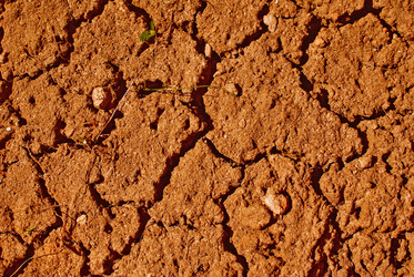 Similar image 231137