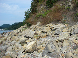 Similar image 231158