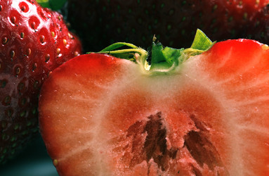 Similar image 231203