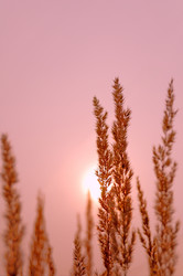 Similar image 231231