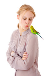 Similar image 231236