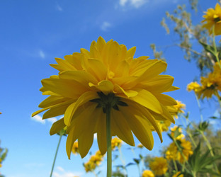 Similar image 231239