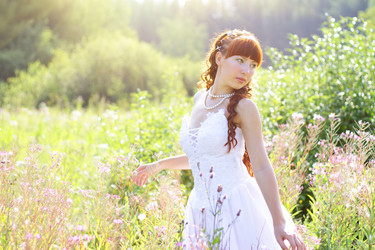 Similar image 231268