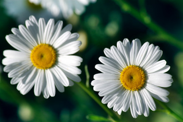 Similar image 231343