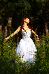 Similar image 231366