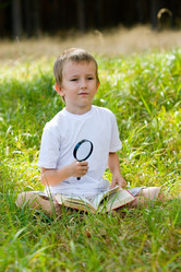 Similar image 231470