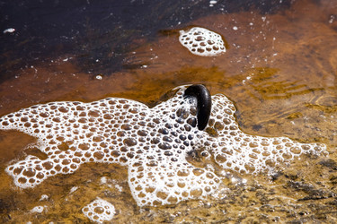 Similar image 231498