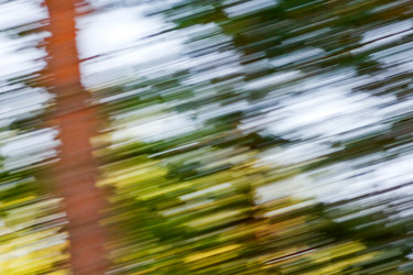 Similar image 231528