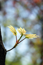 Similar image 231601