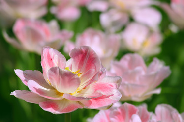 Similar image 231602