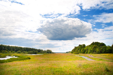 Similar image 231623