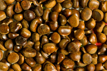 Similar image 231675