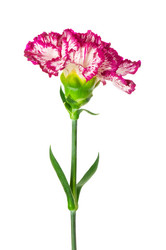 Similar image 231679