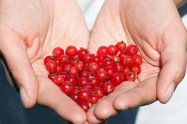 Similar image 231763